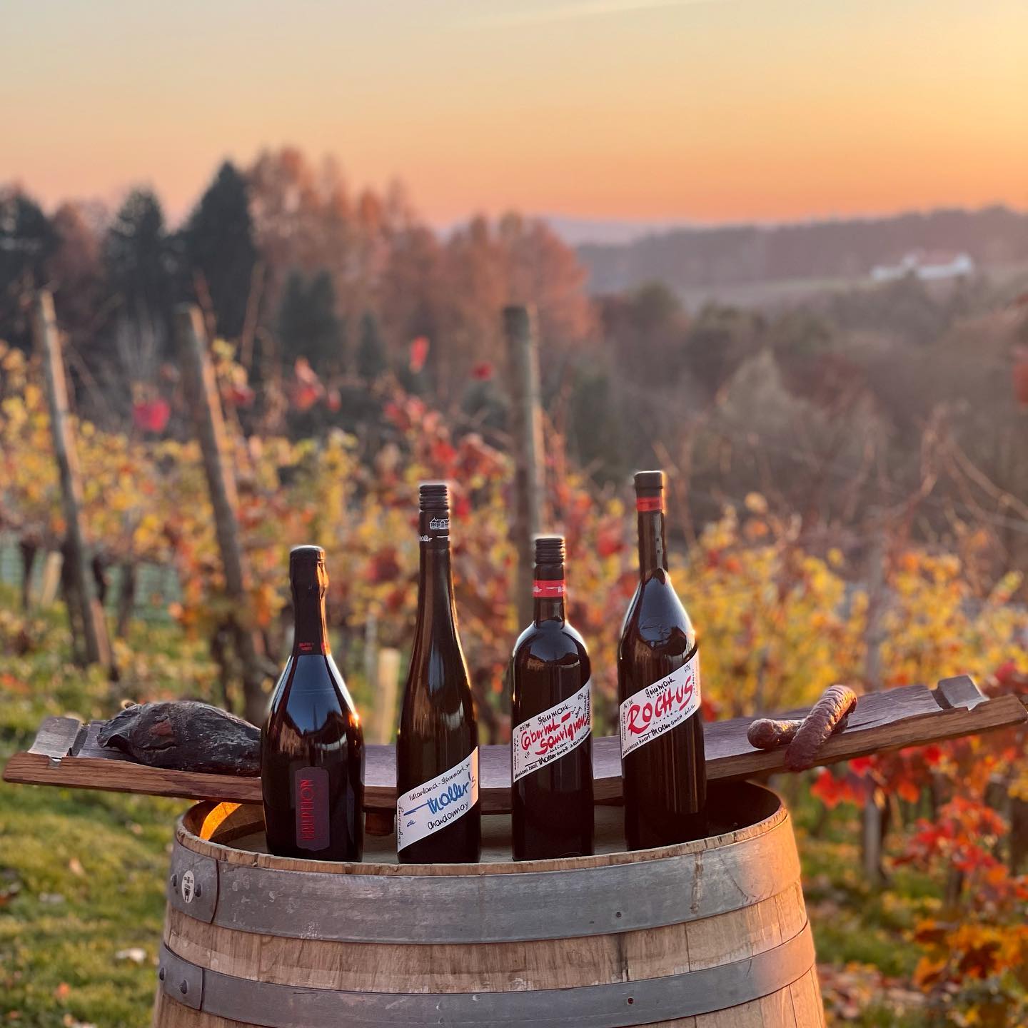 Weinschloss-Thaller-bottles5